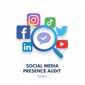 Basic Social Media Presence Audit